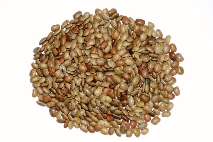kollu Payuru (Horse Gram) 1 Kg